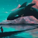 南來北往°