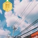 Zhang钰琪