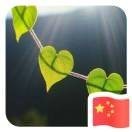成都同芯和精密机械制造-蒋伟君