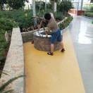 杨光礼
