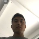 张起朝